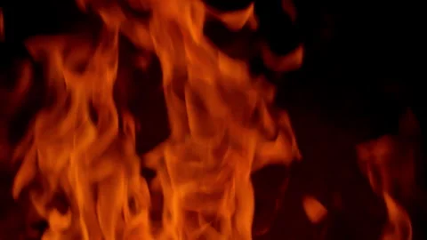 Fire flame burning and glowing on black screen  Stock Footage 255124984