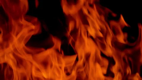 Fire flame burning and glowing on black screen  Stock Footage 255125002