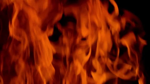 Fire flame burning and glowing on black screen  Stock Footage 255167490
