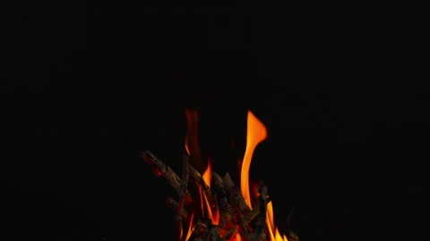 Fire flame burning on black backgroud screen  Stock Footage 243140805