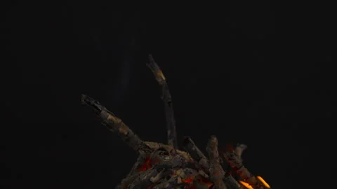 Fire flame burning on black backgroud screen  Stock Footage 243140861