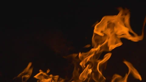 Fire flame burning on black backgroud screen  Stock Footage 246211659