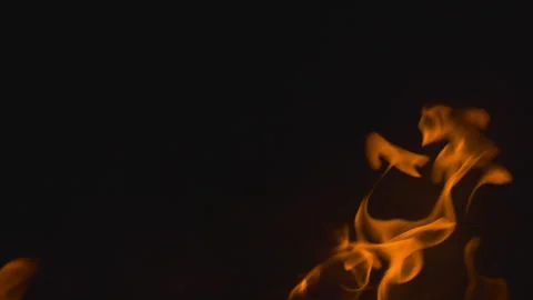 Fire flame burning on black backgroud screen  Stock Footage 246219857