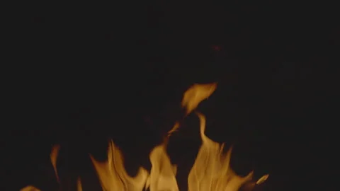 Fire flame burning on black backgroud screen  Stock Footage 246220531