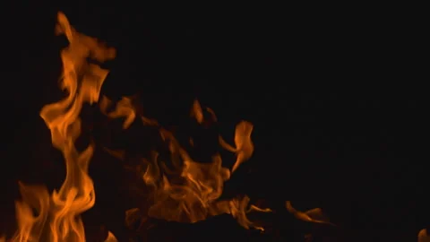 Fire flame burning on black backgroud screen  Stock Footage 246224026