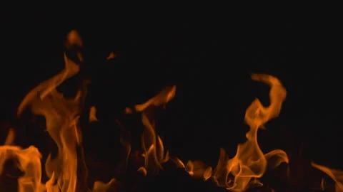 Fire flame burning on black backgroud screen  Stock Footage 246224222