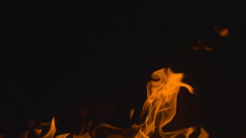 Fire flame burning on black backgroud screen  Stock Footage 246245412