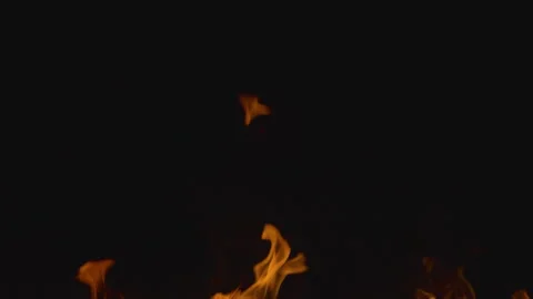 Fire flame burning on black backgroud screen  Stock Footage 246246765