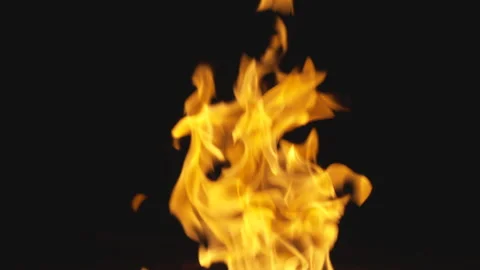 Fire flame burning black background real time Stock Footage 230126391