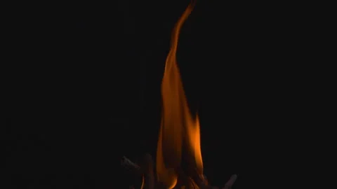 Fire flame burning on black background Video stock 252783256