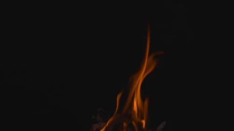 Fire flame burning on black background Video stock 252783559