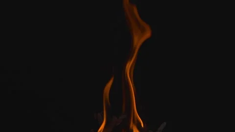 Fire flame burning on black background Video stock 252784063