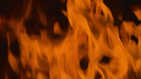 Fire flame burning on black background Stock Footage 252819705