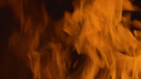 Fire flame burning on black background Video stock 252819709