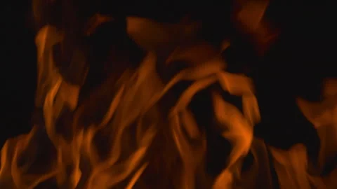 Fire flame burning on black background Video stock 252819711
