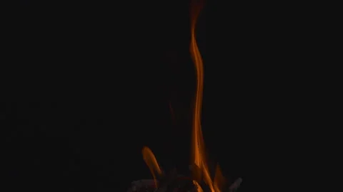 Fire flame burning on black background Video stock 252819929