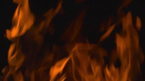 Fire flame burning on black background Video stock 252819958