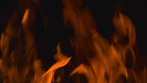 Fire flame burning on black background Video stock 252820806