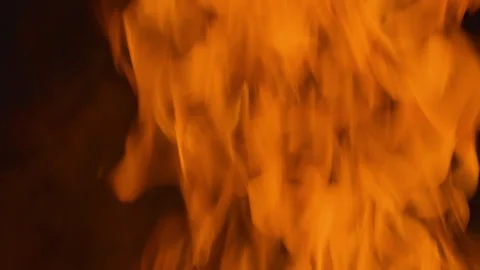 Fire flame burning on black background Video stock 252821038