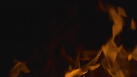 Fire flame burning on black background Video stock 252821242