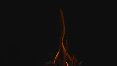 Fire flame burning on black background Video stock 252821264