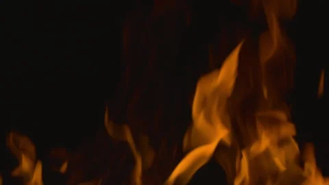 Fire flame burning on black background Video stock 252821279