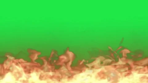 Fire Flame Burning Blazing Loop Animation On Green Screen Background Stock Footage 303447765