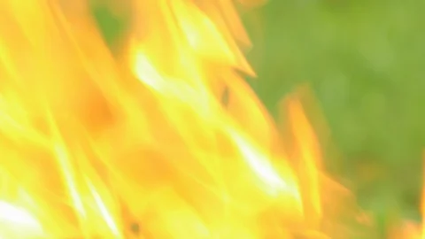 Fire flame burning, a closeup Stock Footage 95018308