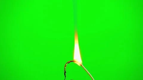Fire flame burning electric line cable on green screen background Stock-Footage 242203717