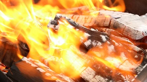 Fire flame burning, firewood Stock Footage 95019731