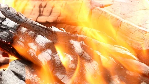 Fire flame burning, firewood Stock Footage 95020035