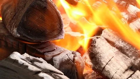Fire flame burning, firewood Video stock 95020238