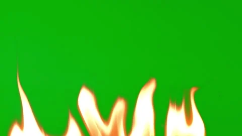 Fire flame burning fuel on green screen background on slow motion video Vídeo Stock 221670931