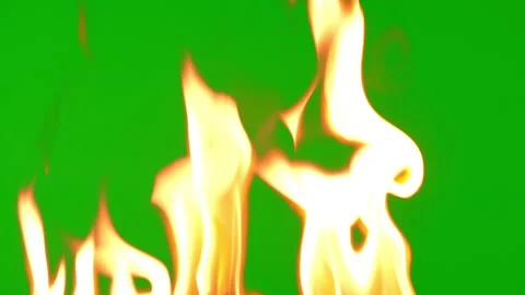 Fire flame burning fuel on green screen background on slow motion video Stock-Footage 221671008