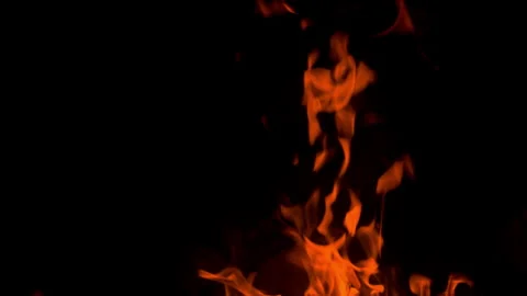 Fire flame burning glow on black screen background Stock Footage 257782421