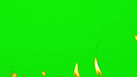 Fire flame burning glowing slow motion of green screen background 库存影片 239556524