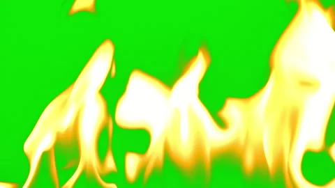 Fire flame burning glowing slow motion of green screen background Video stock 239557054