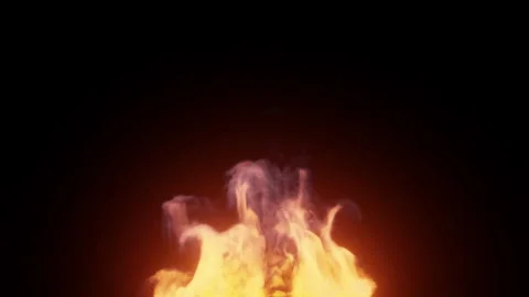 Fire Flame Burning on isolated Black Background Loop Video stock 240342897