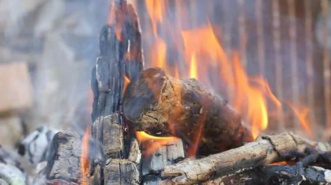 Fire flame. Burning Logs Stock Footage 33696375