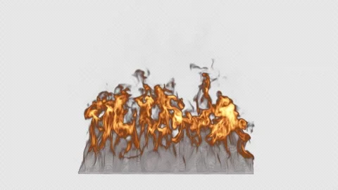 Fire Flame Burning Loop Isolated on Alpha Channel. Stockbeeldmateriaal 339112205