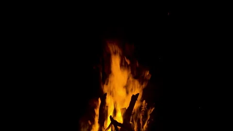 Fire flame burning on night of camping  Stock Footage 259721574