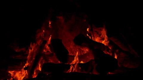 Fire flame burning on night of camping  Stock Footage 259722038