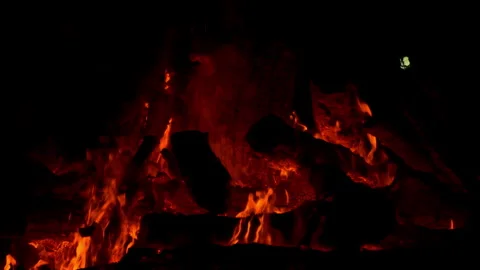 Fire flame burning on night of camping  Video stock 259722198