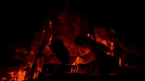 Fire flame burning on night of camping  Stock Footage 259722202