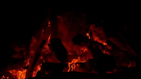 Fire flame burning on night of camping  Stock Footage 259722284
