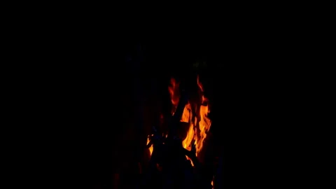 Fire flame burning on night of camping  Stock Footage 259723069