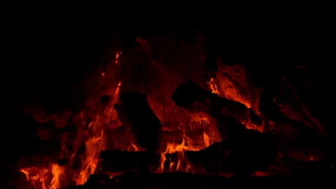 Fire flame burning on night of camping  Stock Footage 259724491