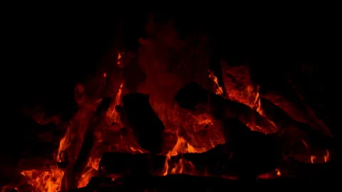 Fire flame burning on night of camping  Stock Footage 259724494
