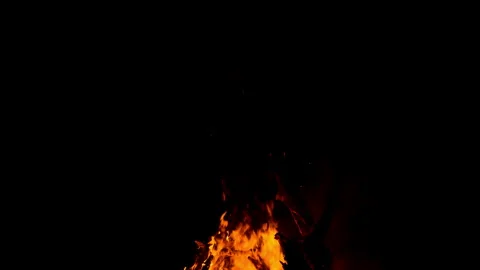 Fire flame burning on night of camping  Stock Footage 259725444