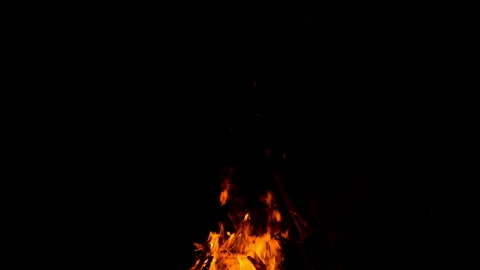 Fire flame burning on night of camping  Stock Footage 259725445